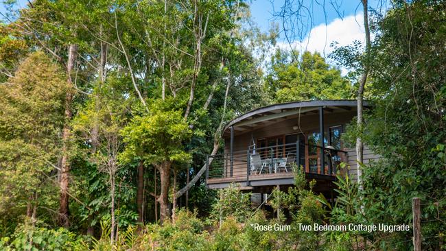 Boutique Sunshine Coast Hinterland Escape Maleny Queensland