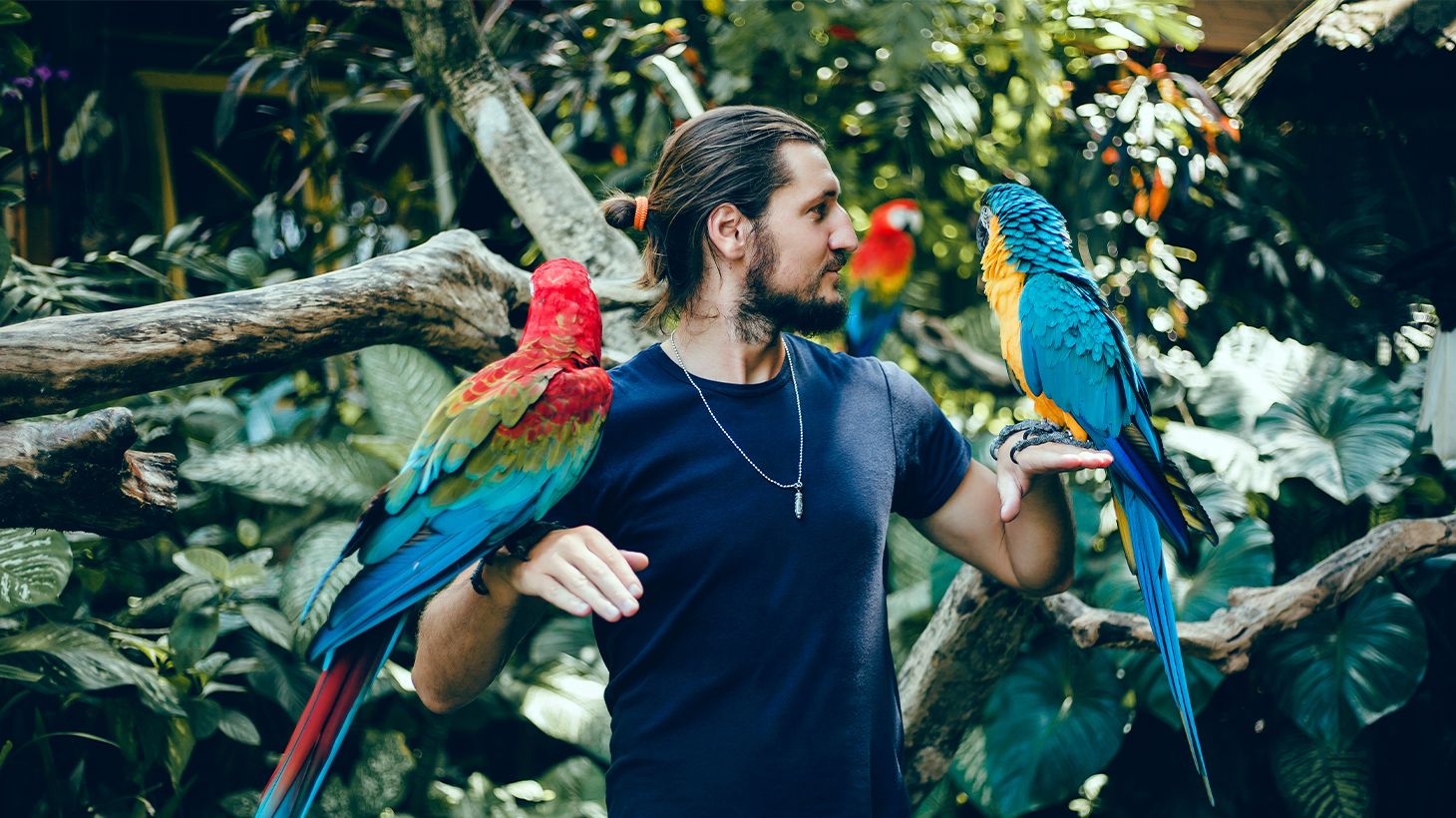 Half-Day Bali Bird Park Experience with Private Return Transfers 1