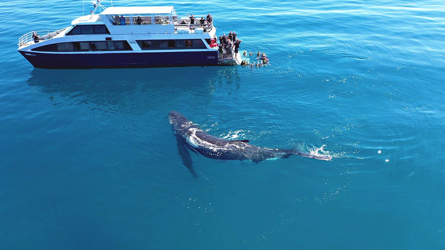 Full-Day K'gari (Fraser Island) Cruise with Return Hotel Transfers & Buffet Lunch 2