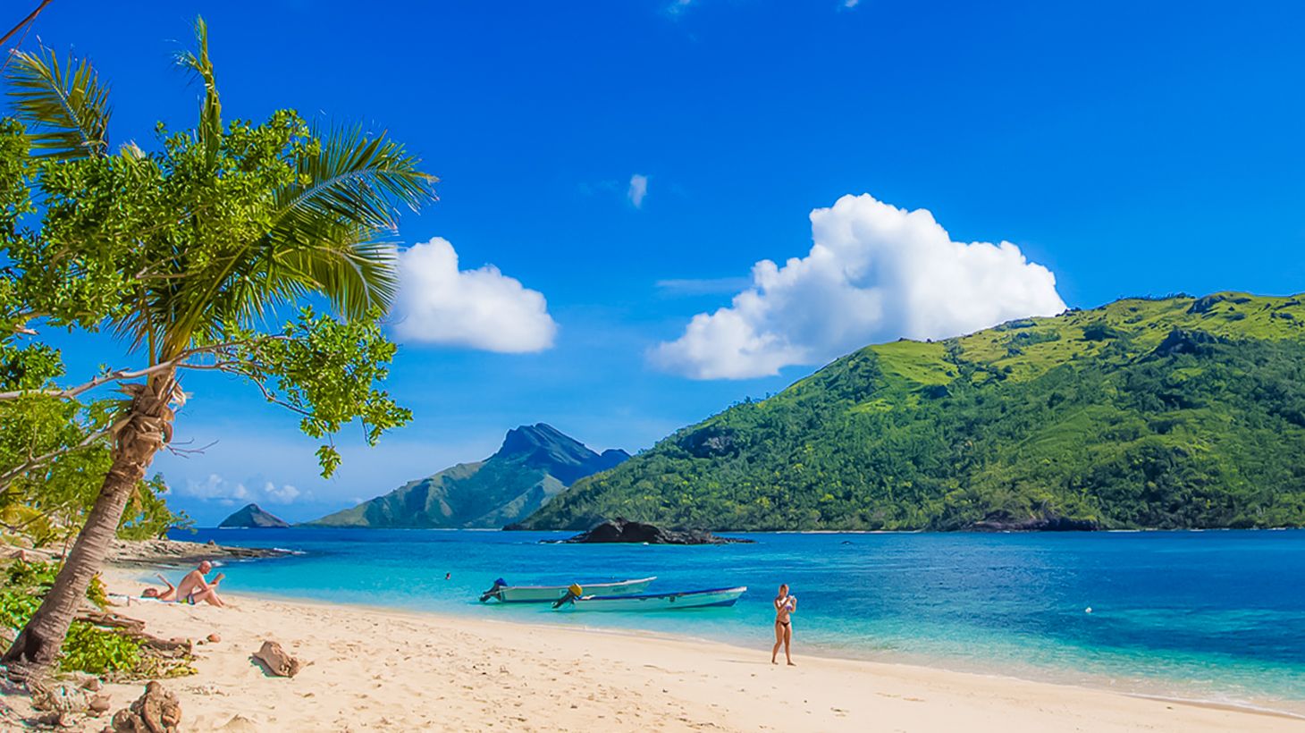 Full-Day Snorkelling with Sharks Experience with Lunch, Kuata Island Scenic Cruise & Roundtrip Transfers 5