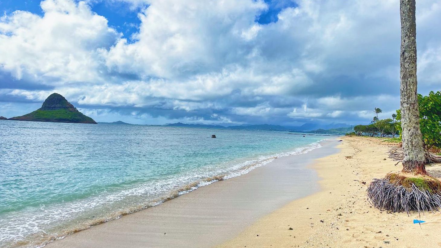 Full-Day Outdoor Tour with Guided Diamond Head Hike, North Shore Visit & Roundtrip Hotel Transfers 5