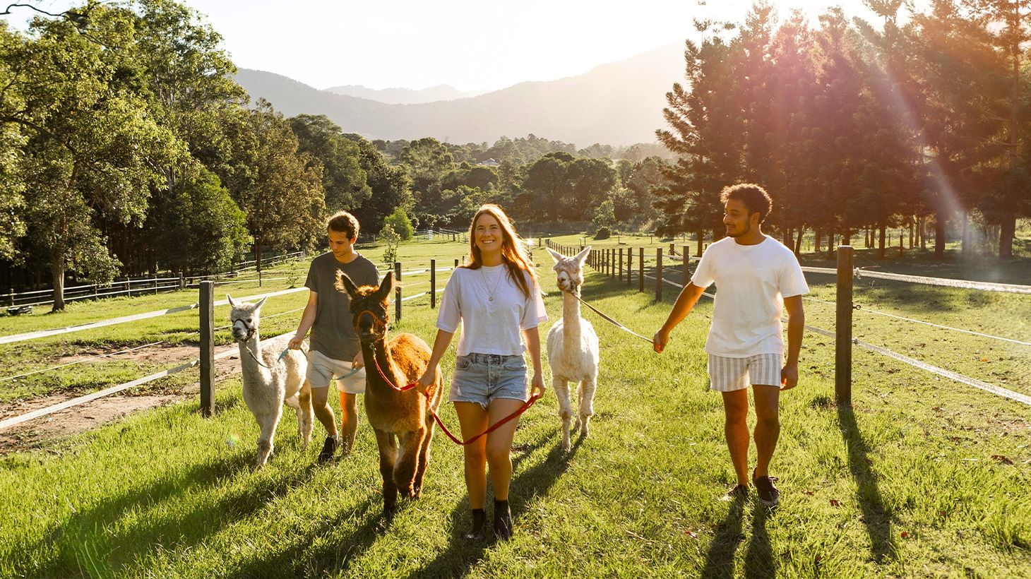 Fun-Filled One-Hour Farm Animal Tour at Trevena Glen Farm