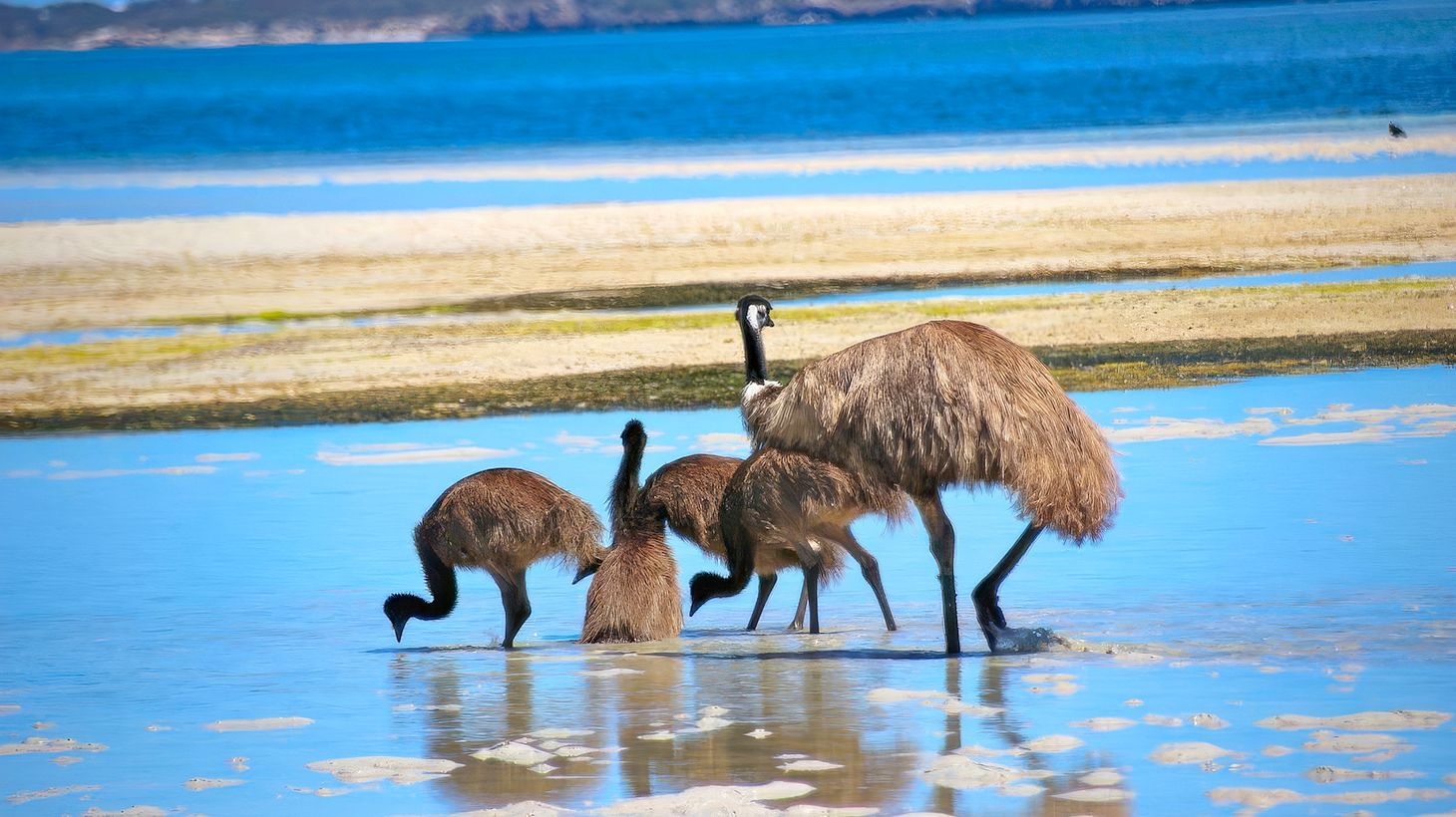 Full-Day Oysters, Ocean & Nature Tour with Tastings & Return Transfers 5