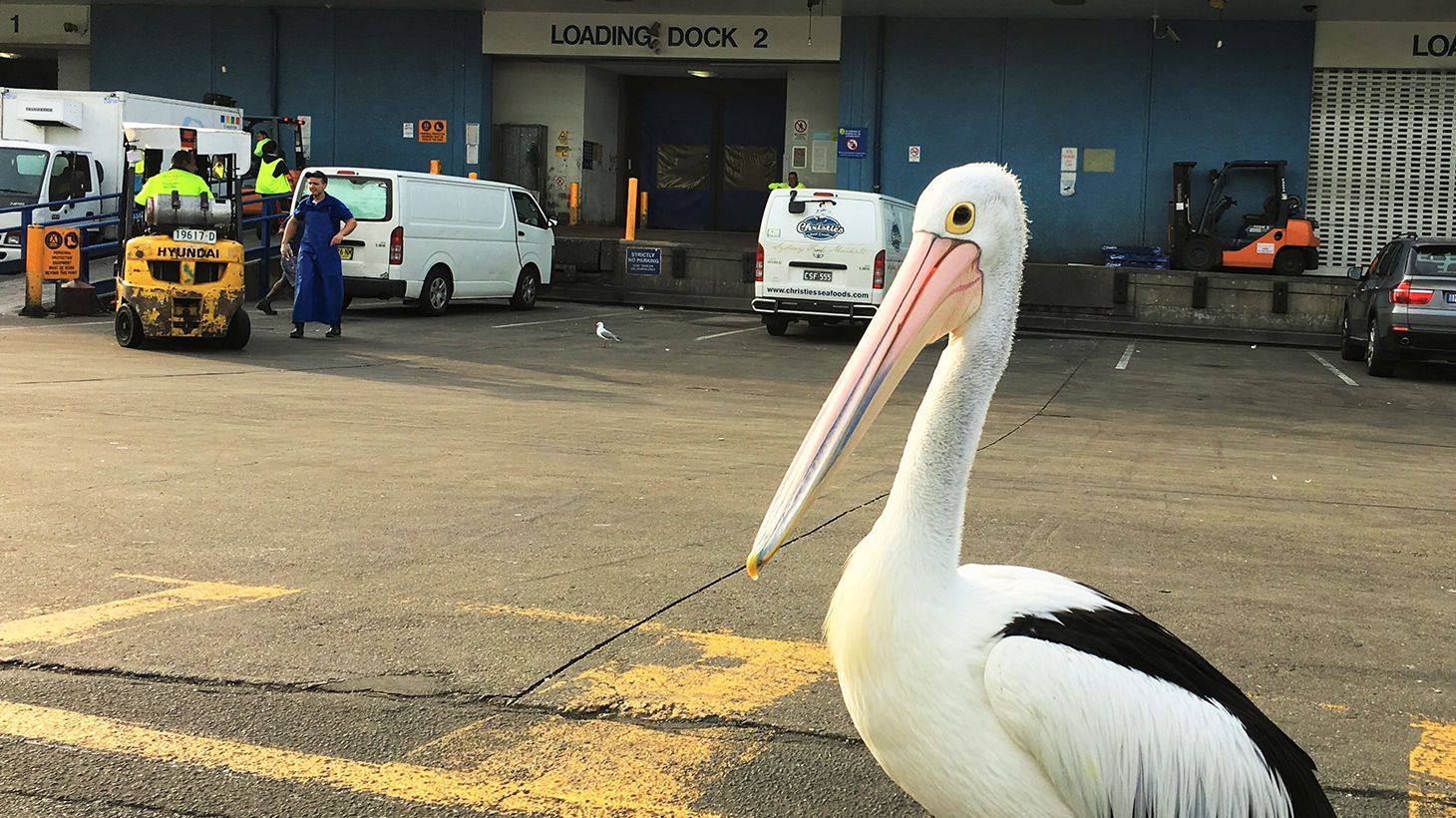 Discover the Hunter Valley on a Full-Day Food & Wine Tour with Lunch, Tastings & Transfers 8