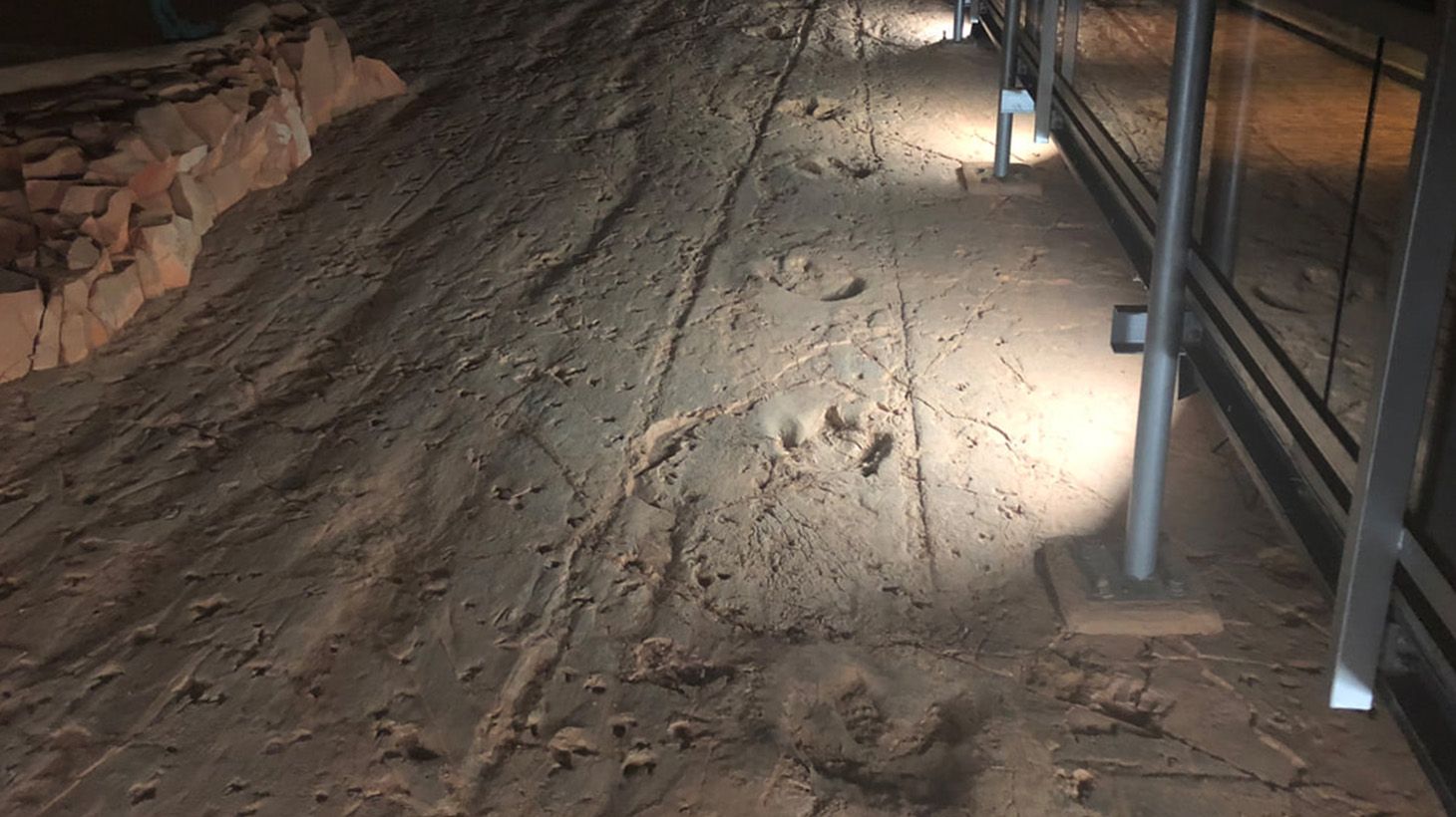 Winton Outback Dinosaur Adventure with Lunch & Return Transfers 4