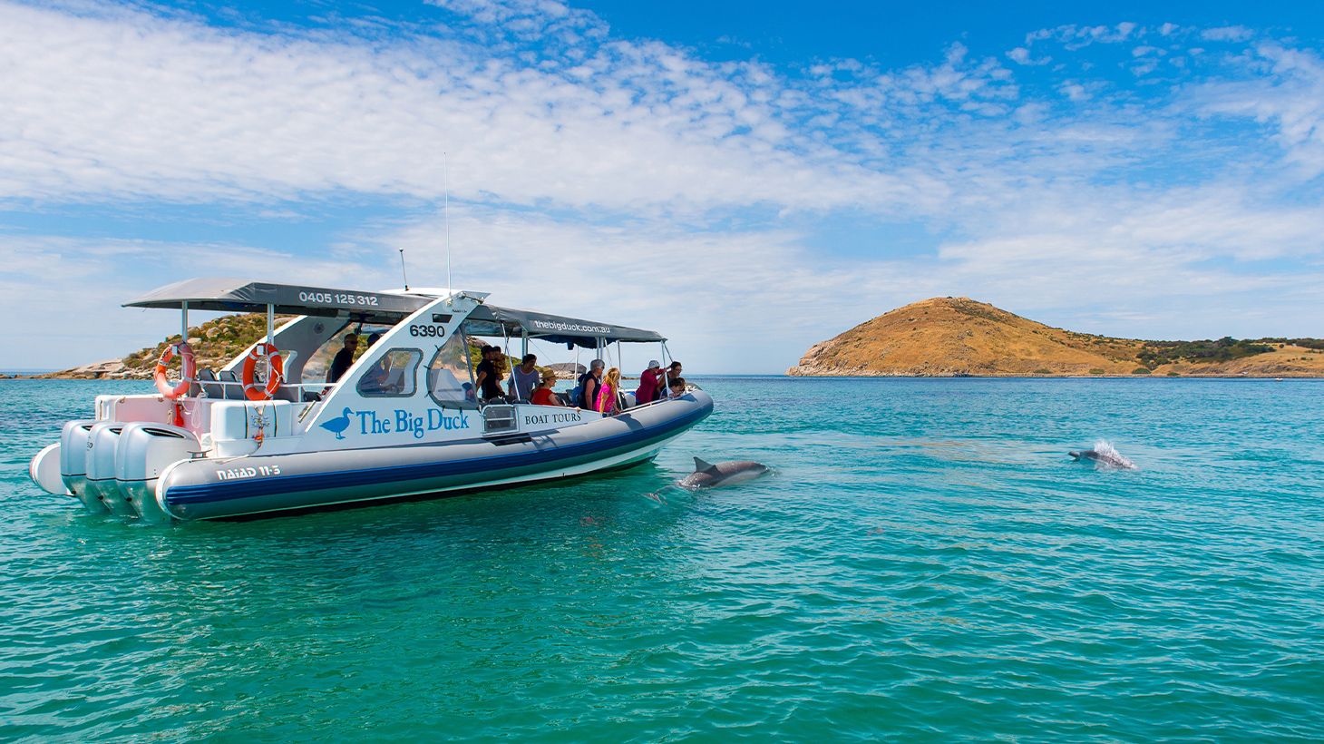 90-Minute Adventurous Southern Ocean Tour Departing From Victor Harbor