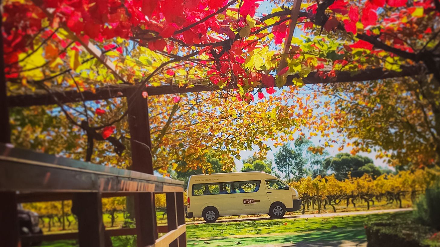 Half-Day Swan Valley Winery Tour with Tastings & Shared Cheese Board 8