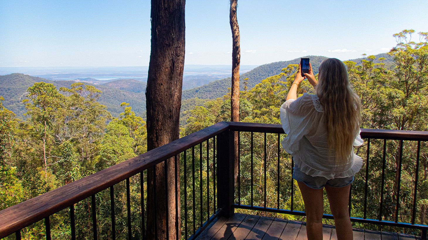 Brisbane: Full-Day Maiala Rainforest Tour with Return Transfers & Picnic Refreshments