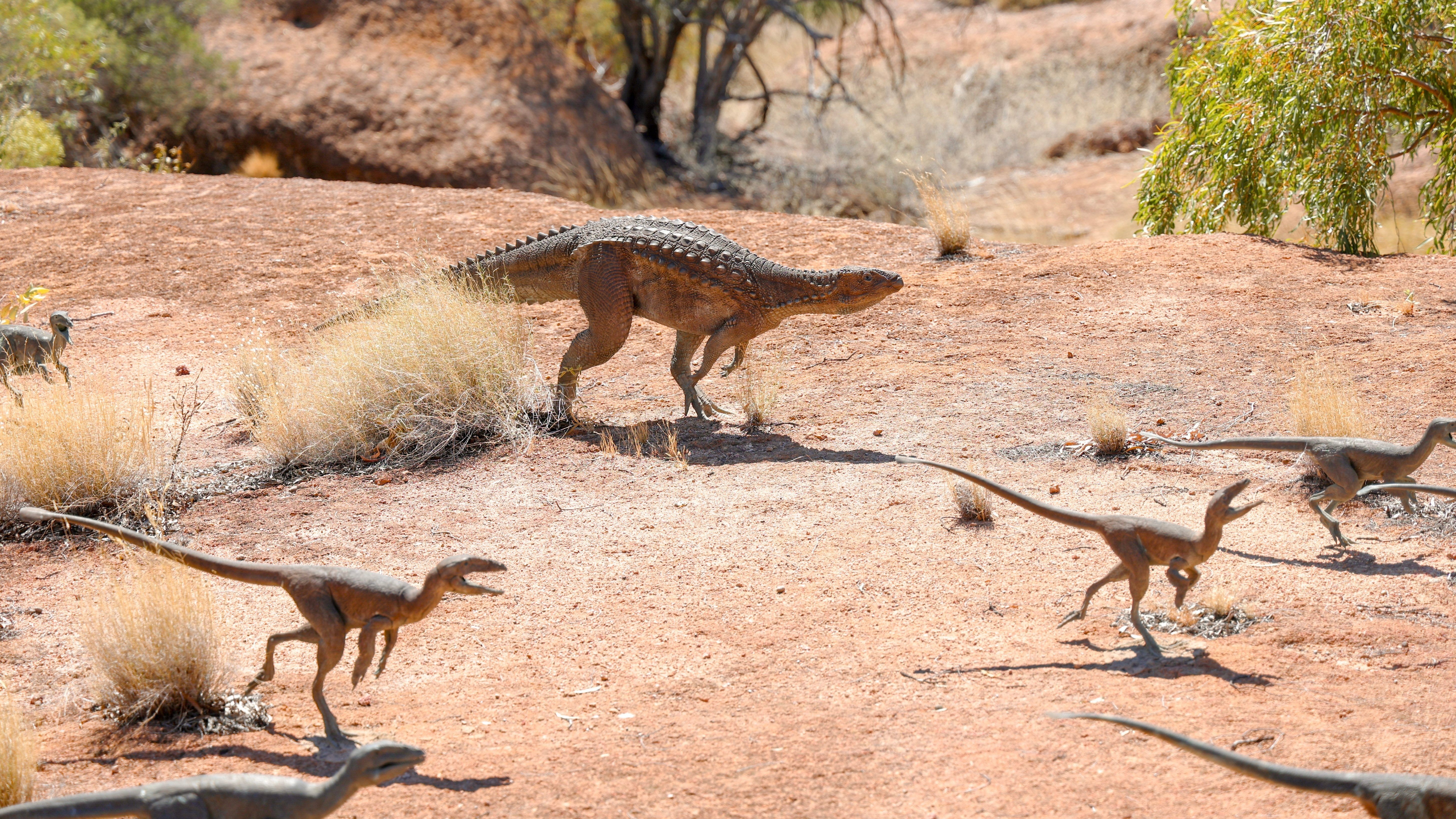 30-Minute Helicopter Ride and Half-Day Australian Age of Dinosaurs Museum Tour 5