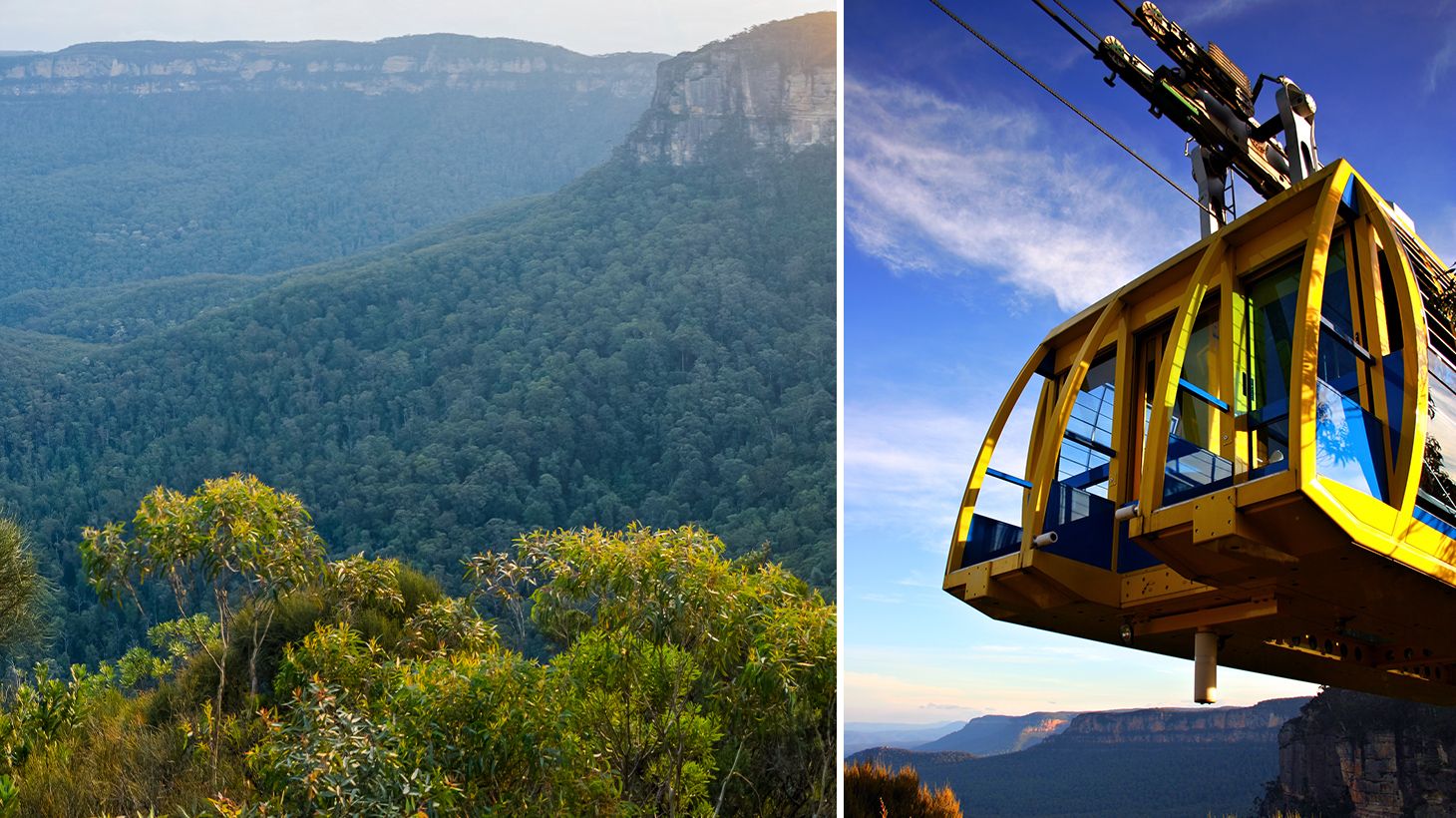 Full-Day Blue Mountains Tour with Featherdale Wildlife Park Visit, River Cruise & Three Scenic Rides 8