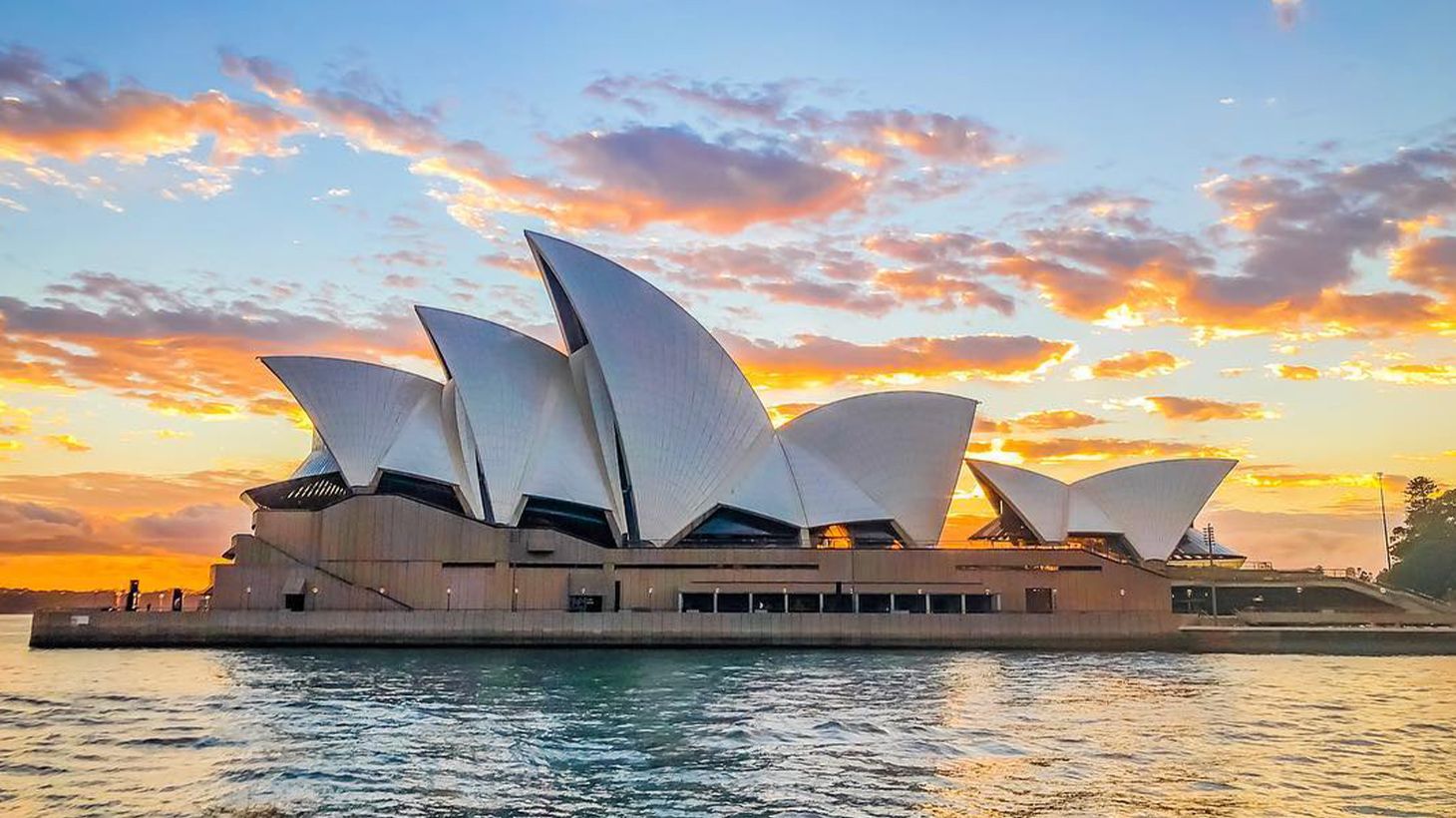 Morning or Afternoon 1.5-Hour Sydney Harbour Sightseeing Cruise 2