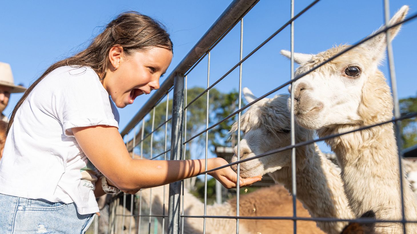 Fun-Filled Three-Hour Private Animal Tour with Horse Riding at Trevena Glen Farm