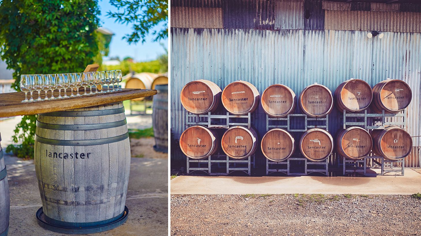 Half-Day Swan Valley Winery Tour with Tastings & Shared Cheese Board 4