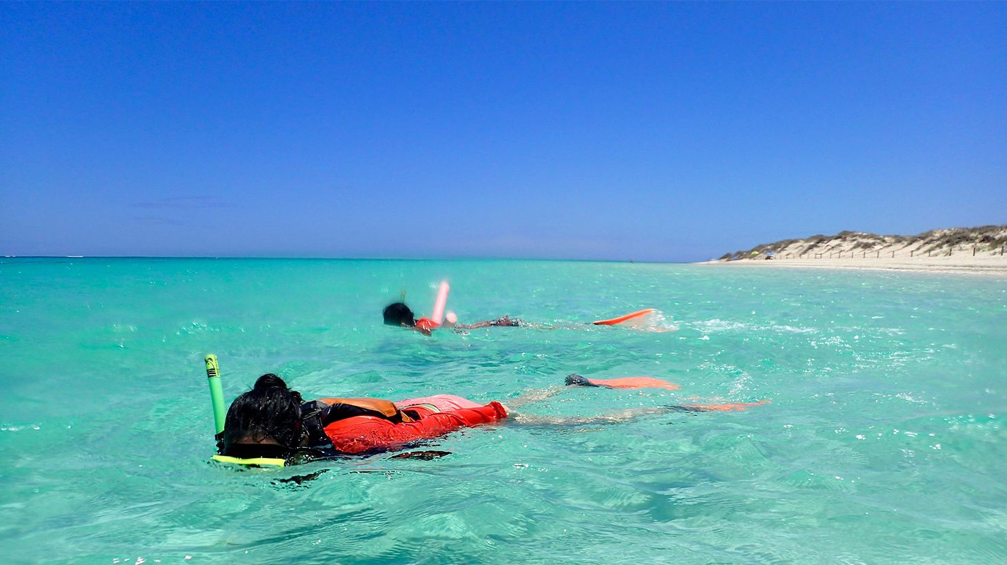 Full-Day Ningaloo Reef Snorkel Adventure with Morning Tea, Picnic Lunch & Snorkelling Gear 3