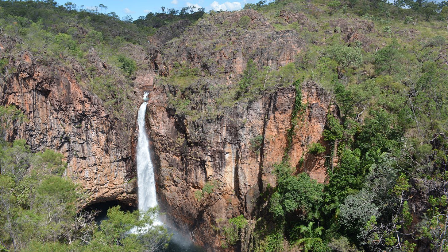Get Wild on an Intimate Litchfield National Park Eco-Tour with Lunch & Roundtrip Transfers 4