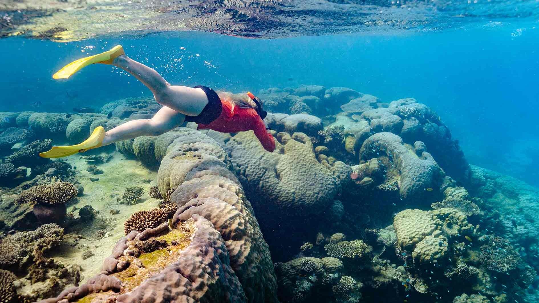 Exmouth: Explore Ningaloo Reef on a Full-Day Sea Kayak & Snorkel Tour with Lunch & Return Transfers 3