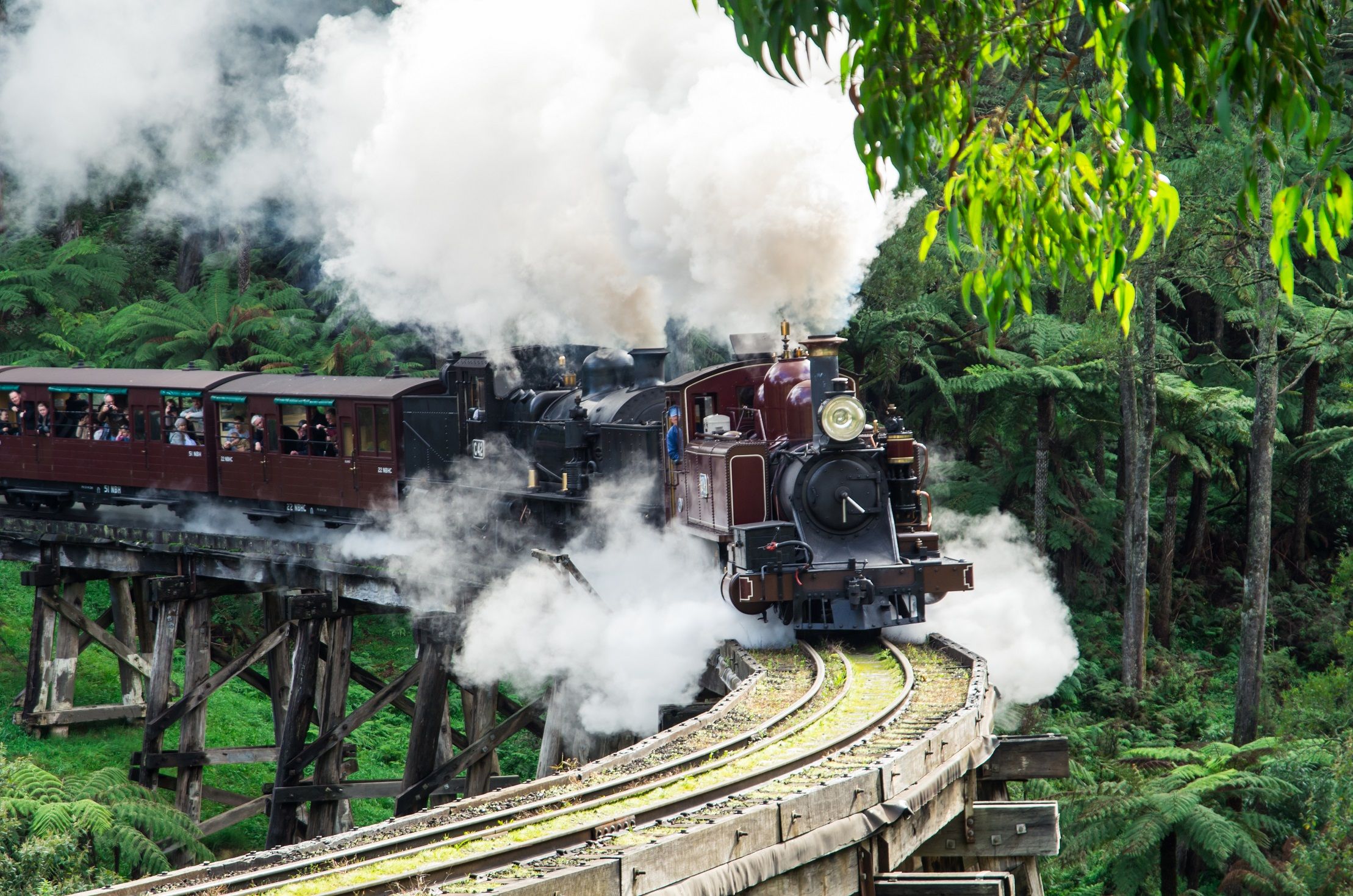 Full-Day Puffing Billy & Healesville Sanctuary Scenic Tour 3