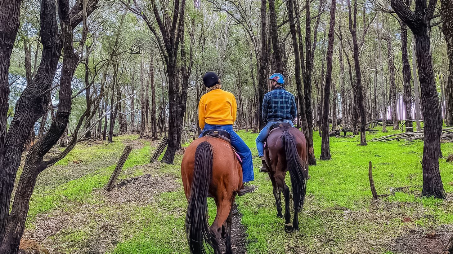 1.5-Hour Adventure Horse Ride with Grazing Platter & Glass of Wine in Jarrahdale 3