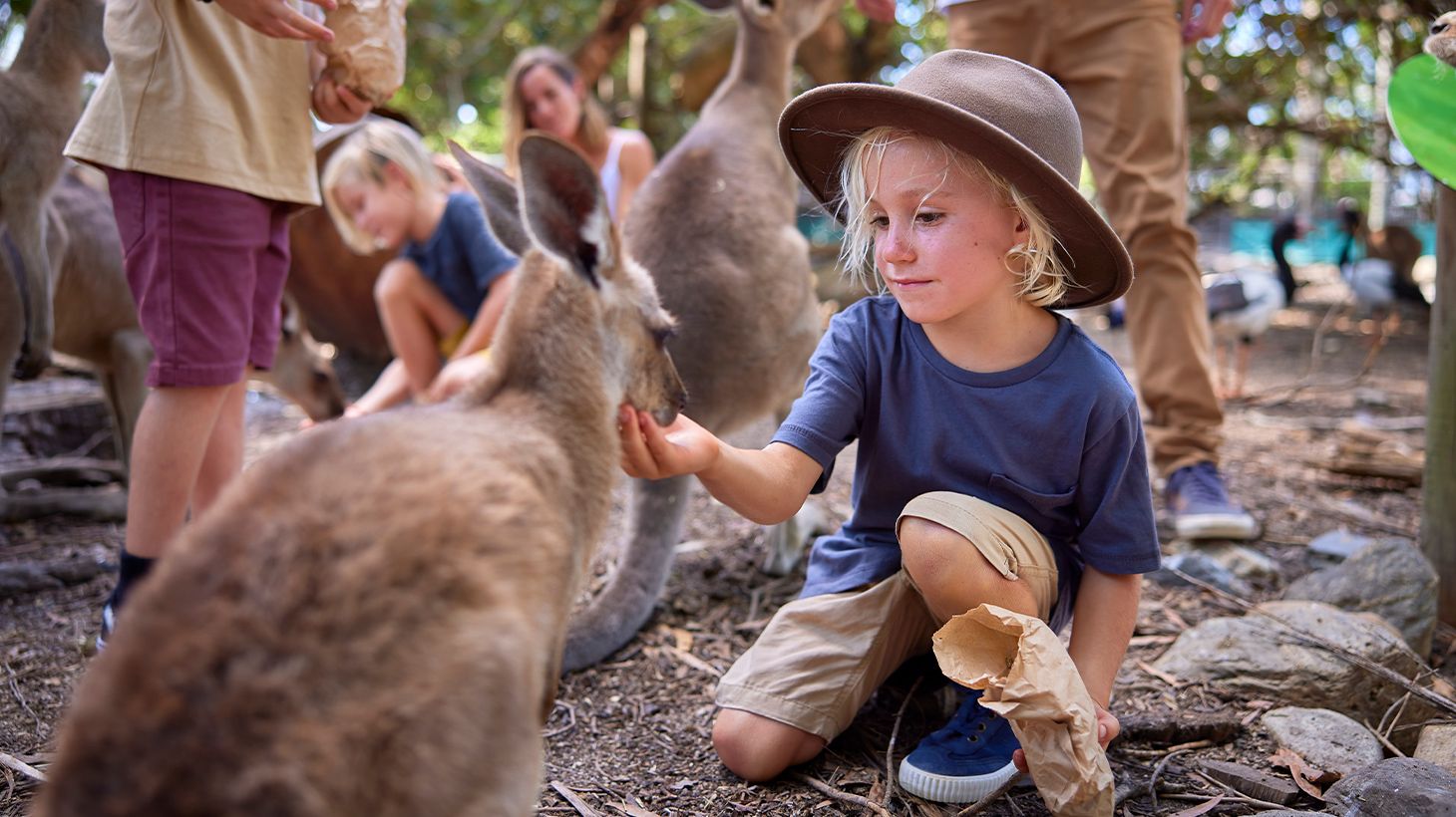 Admission to Award-Winning Australian Wildlife Habitat Sanctuary in Port Douglas 1