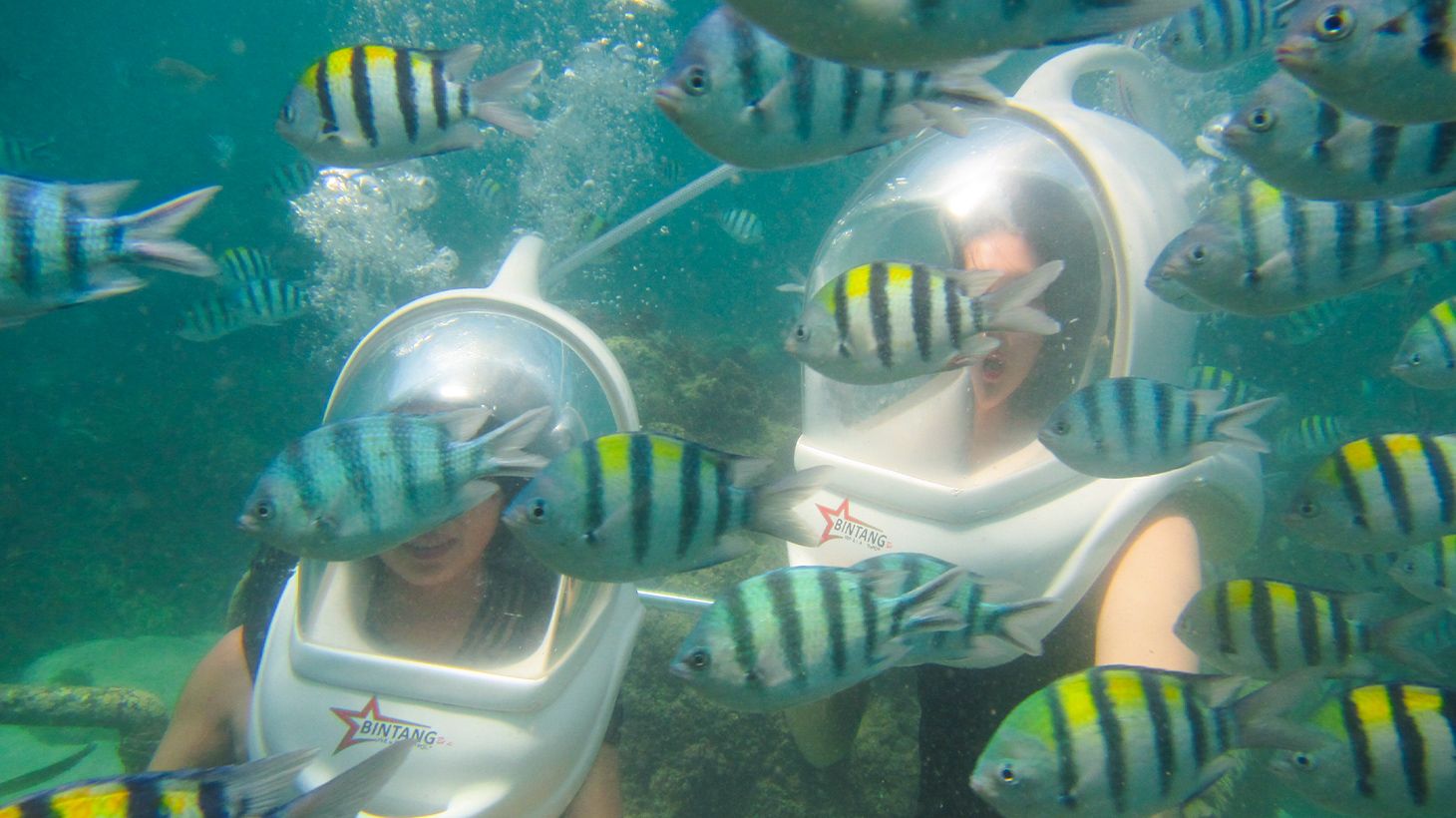 Half-Day Watersports Package with Fly Boarding, Sea Walker Experience, Doughnut Boat Ride & Private Hotel Transfers 5