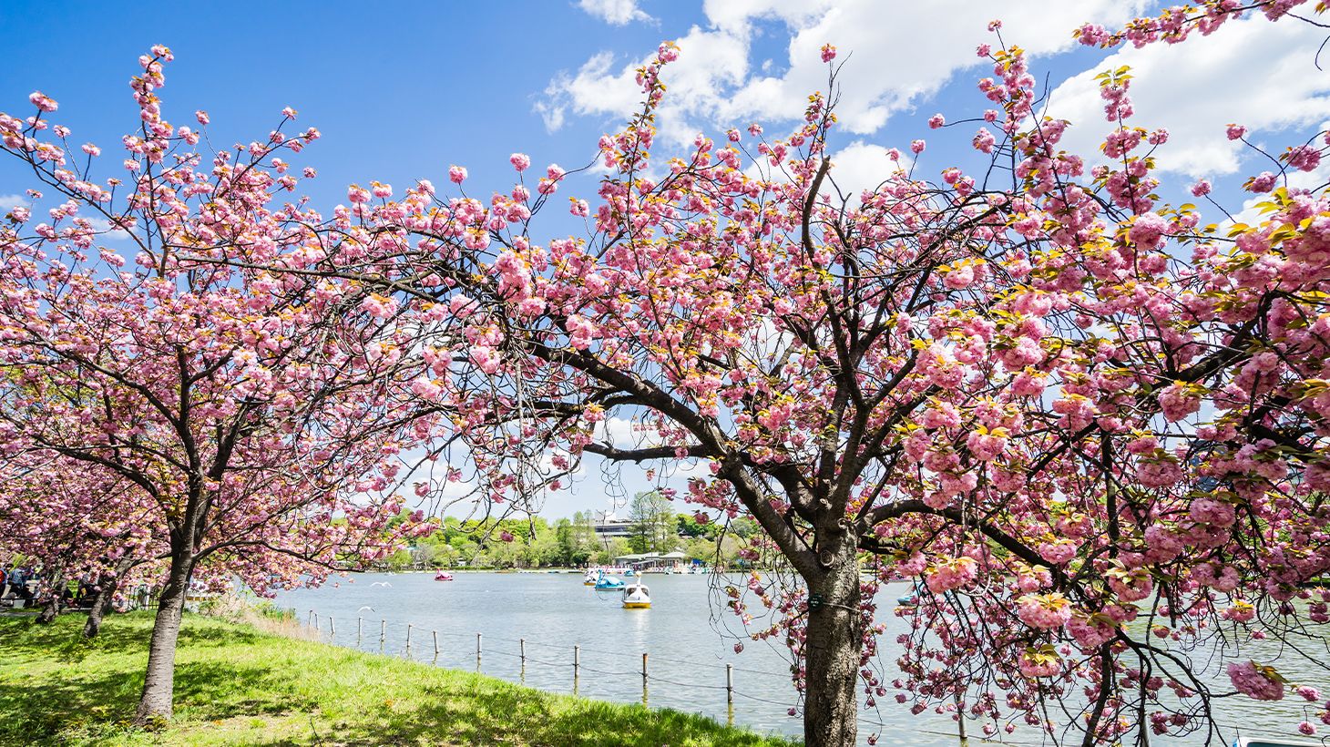 Small Group Three-Hour Guided Food Tour in Ueno with Local Dish Tastings 1