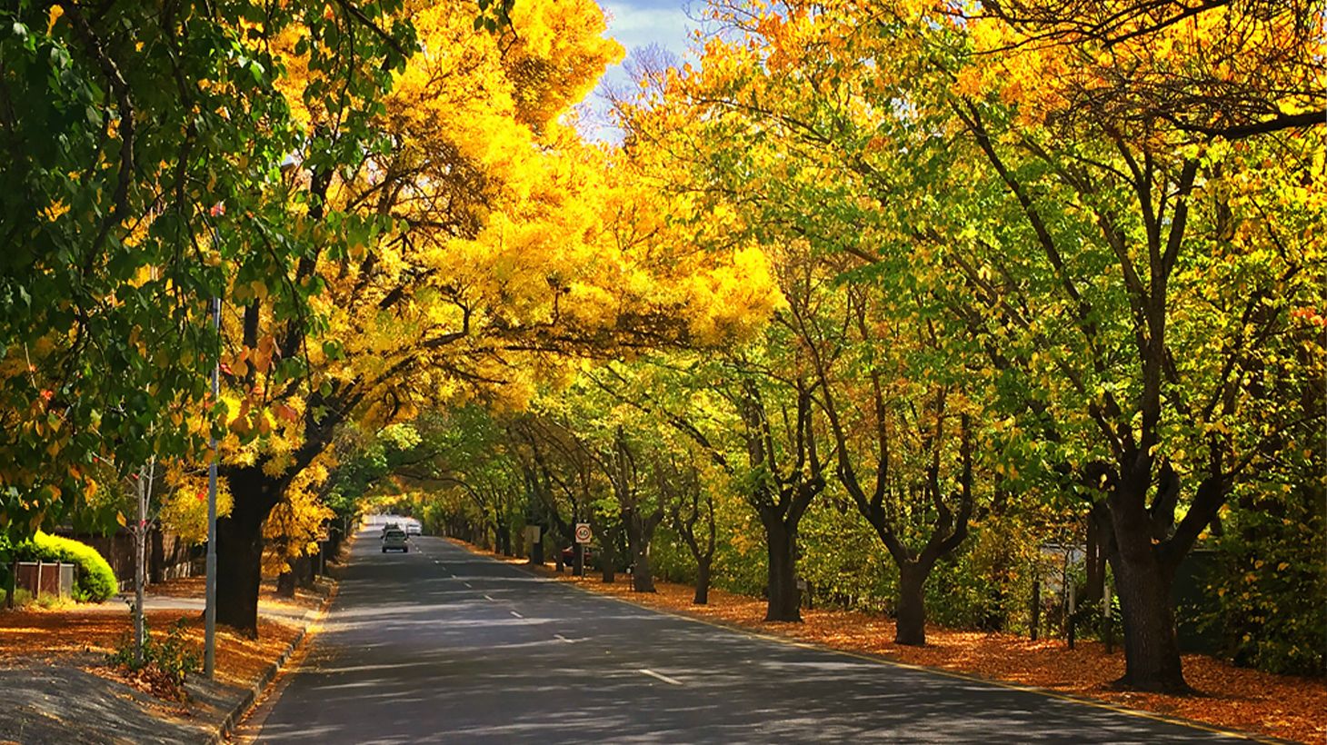 Hahndorf & Hills Food & Wine Small Group Tour with Tastings, Two-Course Lunch & Drink 2