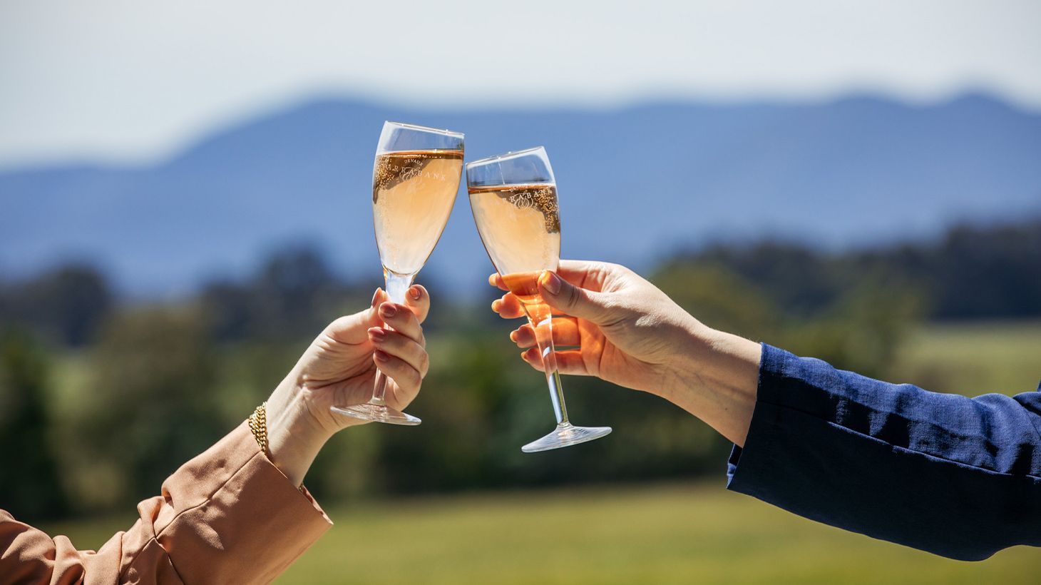 Yering Station Lunch & Wine Tasting