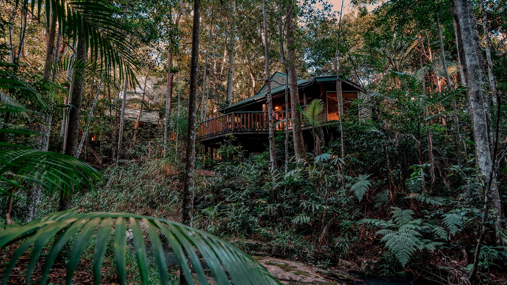 The World's Most Romantic Retreat: Adults-Only Rainforest Villas in the Sunshine Coast Hinterland