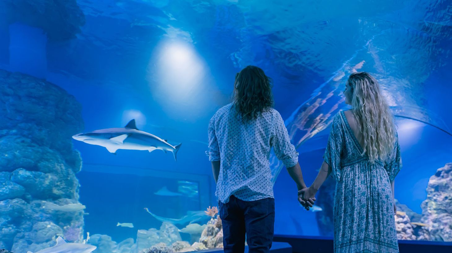 Aquarium by Twilight & Three-Course Dinner