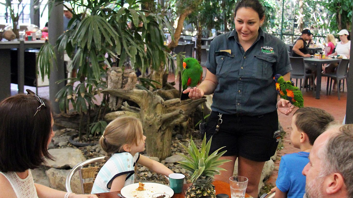 Admission to Award-Winning Australian Wildlife Habitat Sanctuary in Port Douglas 5