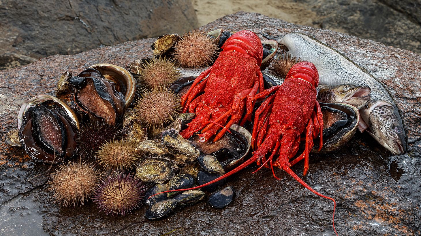 Full-Day Seafood Cruise with Freshly Caught Wild Abalone, Gourmet Lunch & Drinks 3