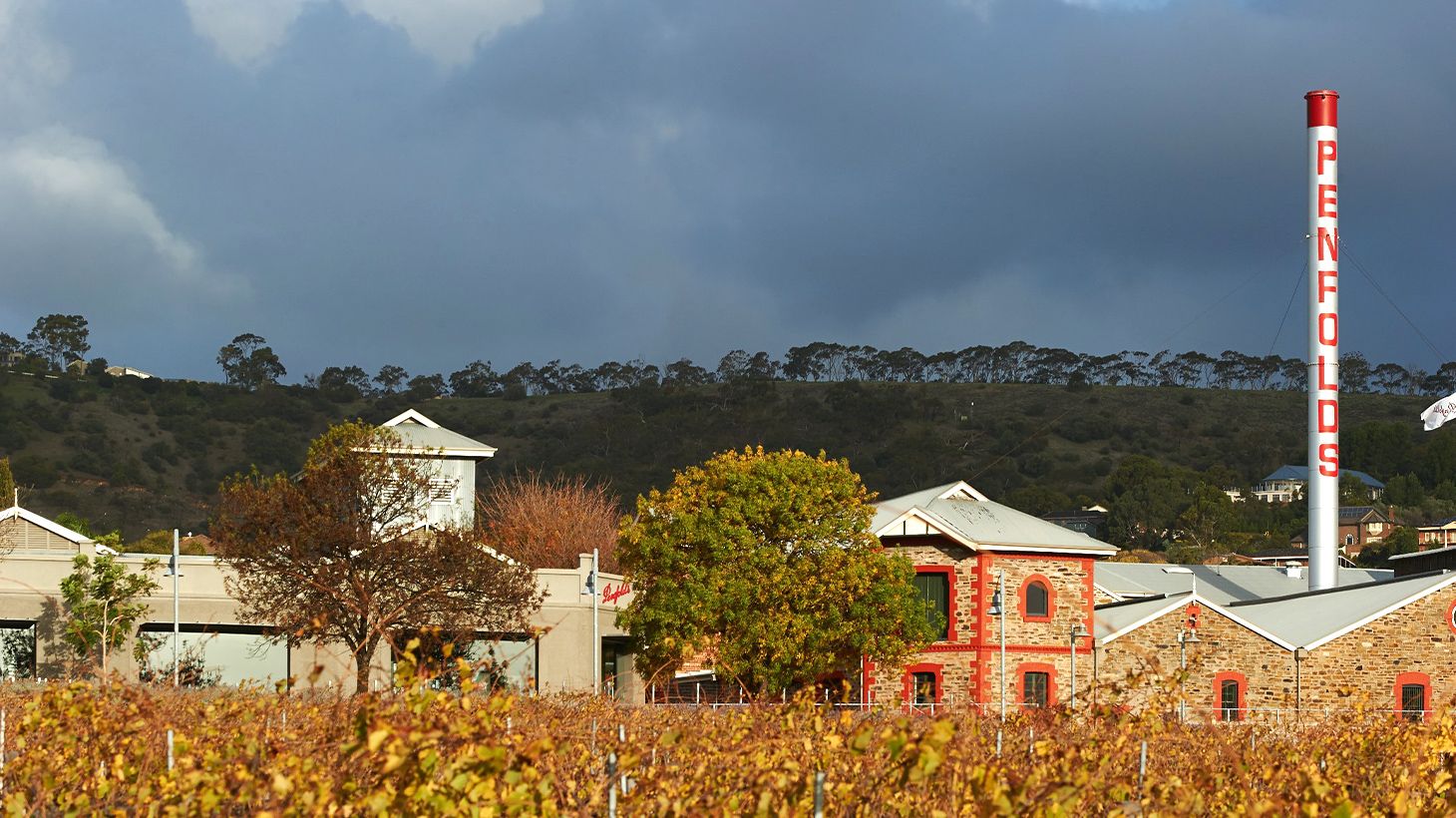One-Hour Penfolds Magill Estate Heritage Tour & Wine Tasting in Cellar Door 1