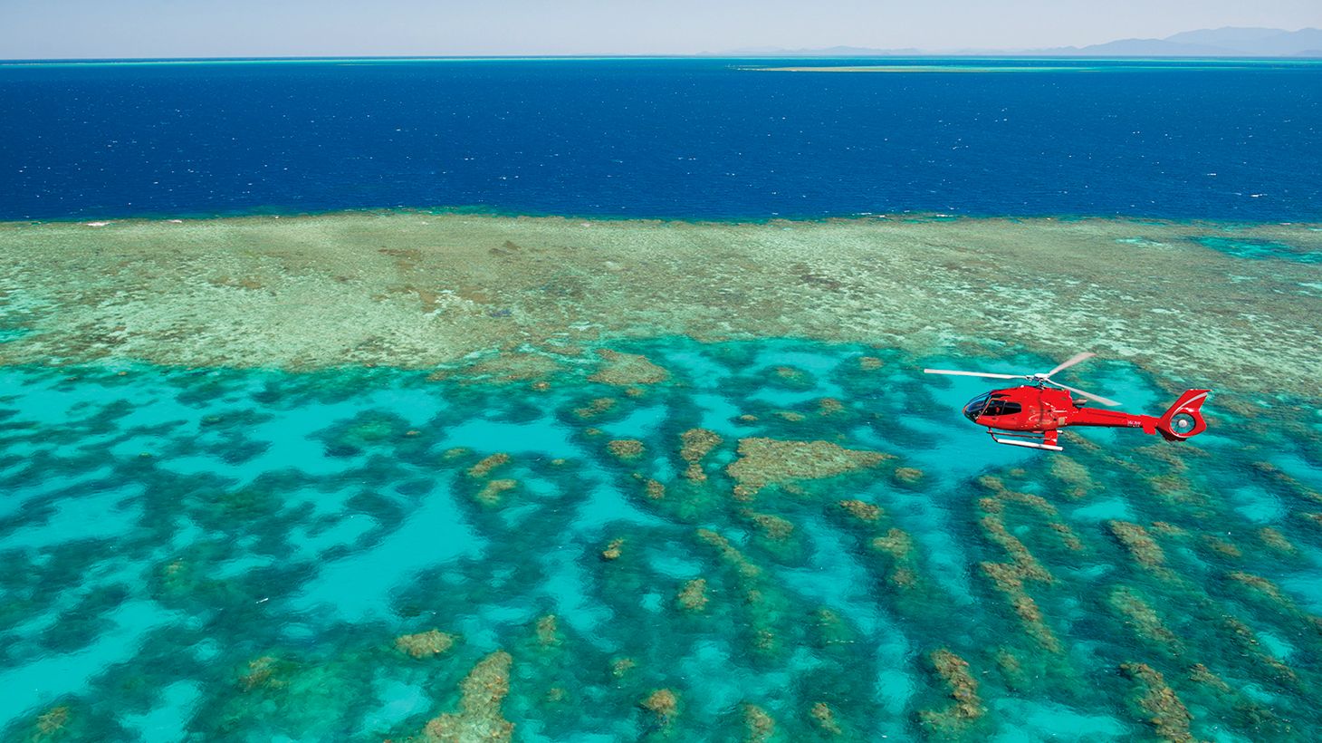 Full-Day World Heritage Highlights Tour with Helicopter Flight, Daintree River Cruise & Lunch 1