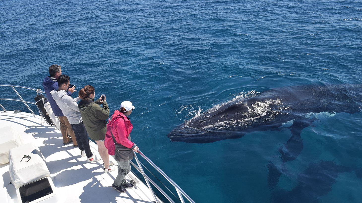 Observation des baleines lors d’une croisière touristique de deux heures à Dunsborough