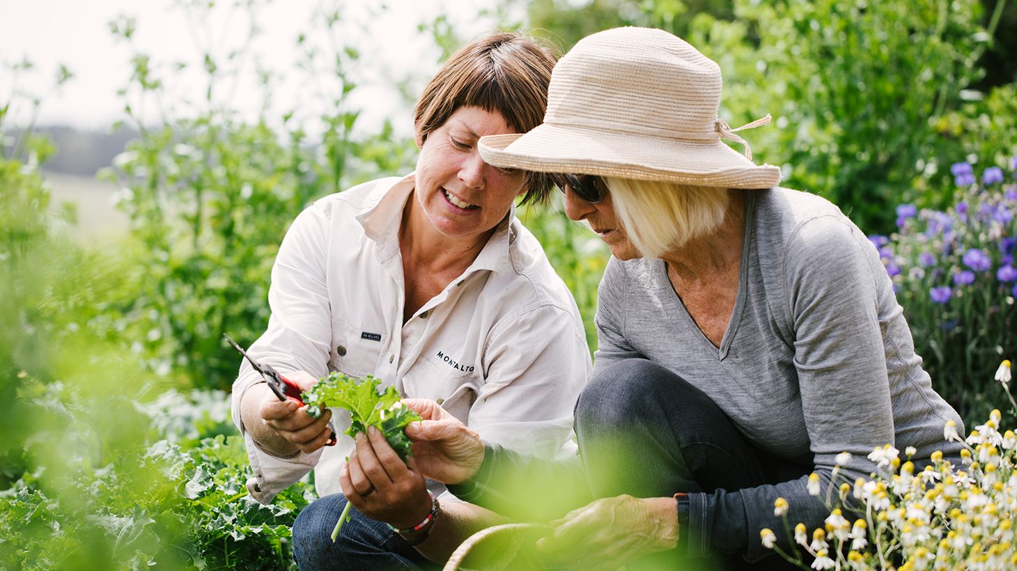 Estate to Plate Gourmet Indulgence with Wine Tasting & Multi-Course Lunch with Paired Wines 4