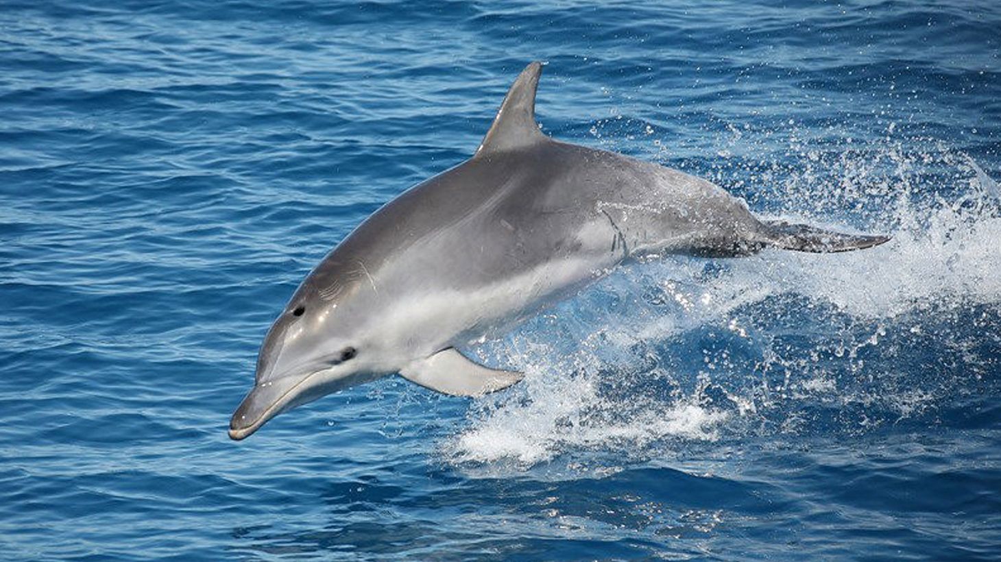 Full-Day K'gari (Fraser Island) Cruise with Return Hotel Transfers & Buffet Lunch  8