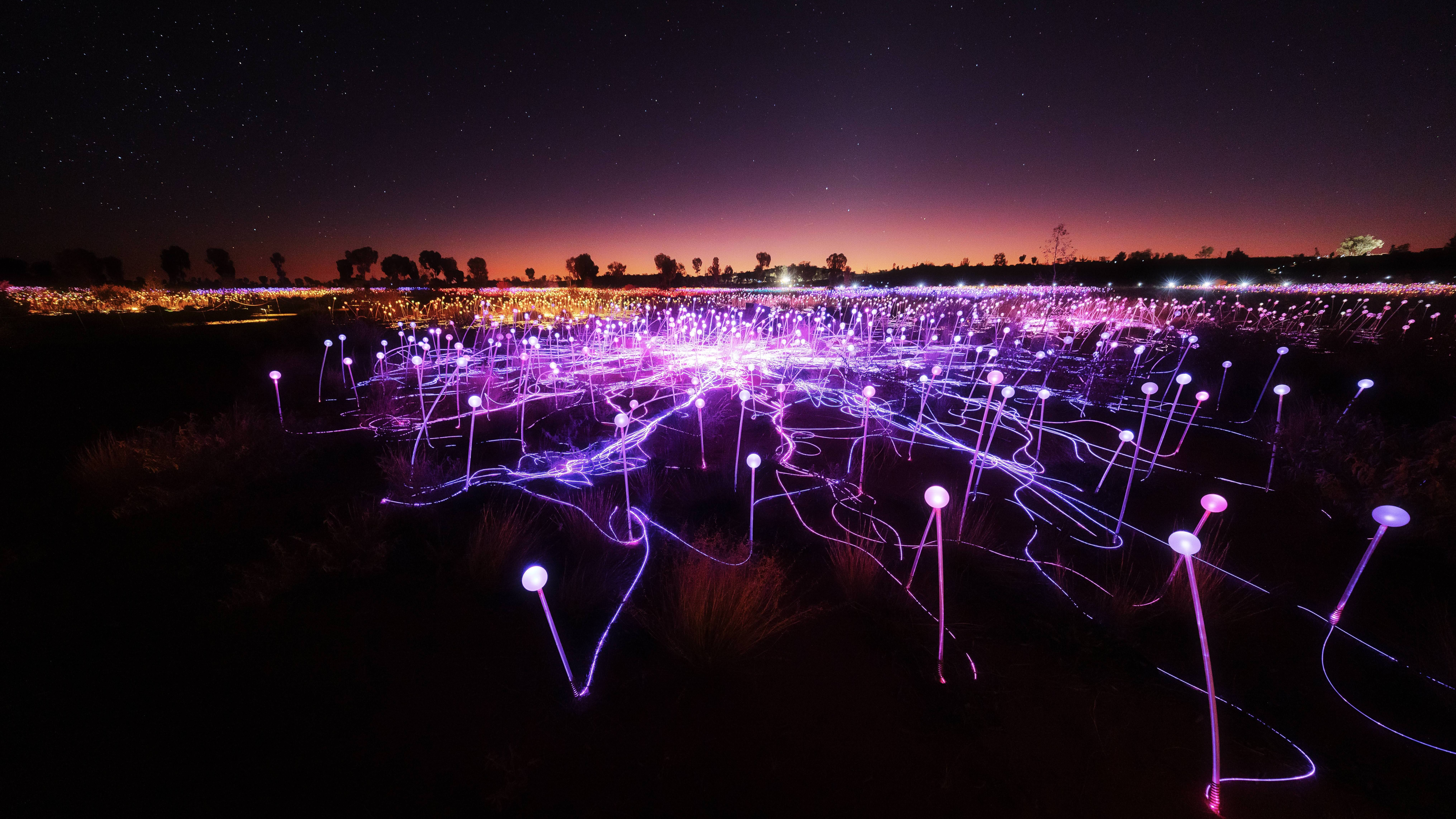 Eintritt zu Field of Light nach Einbruch der Dunkelheit inklusive Rücktransfer 3