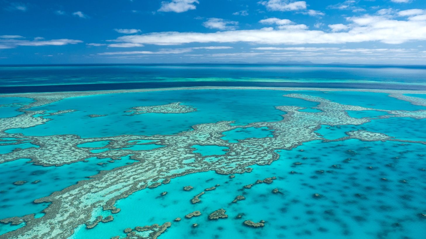 SAVE 20% on a Full-Day Great Barrier Reef Experience with Buffet Lunch, Daydream Island Transfers & Semi-Submarine Guided Tour