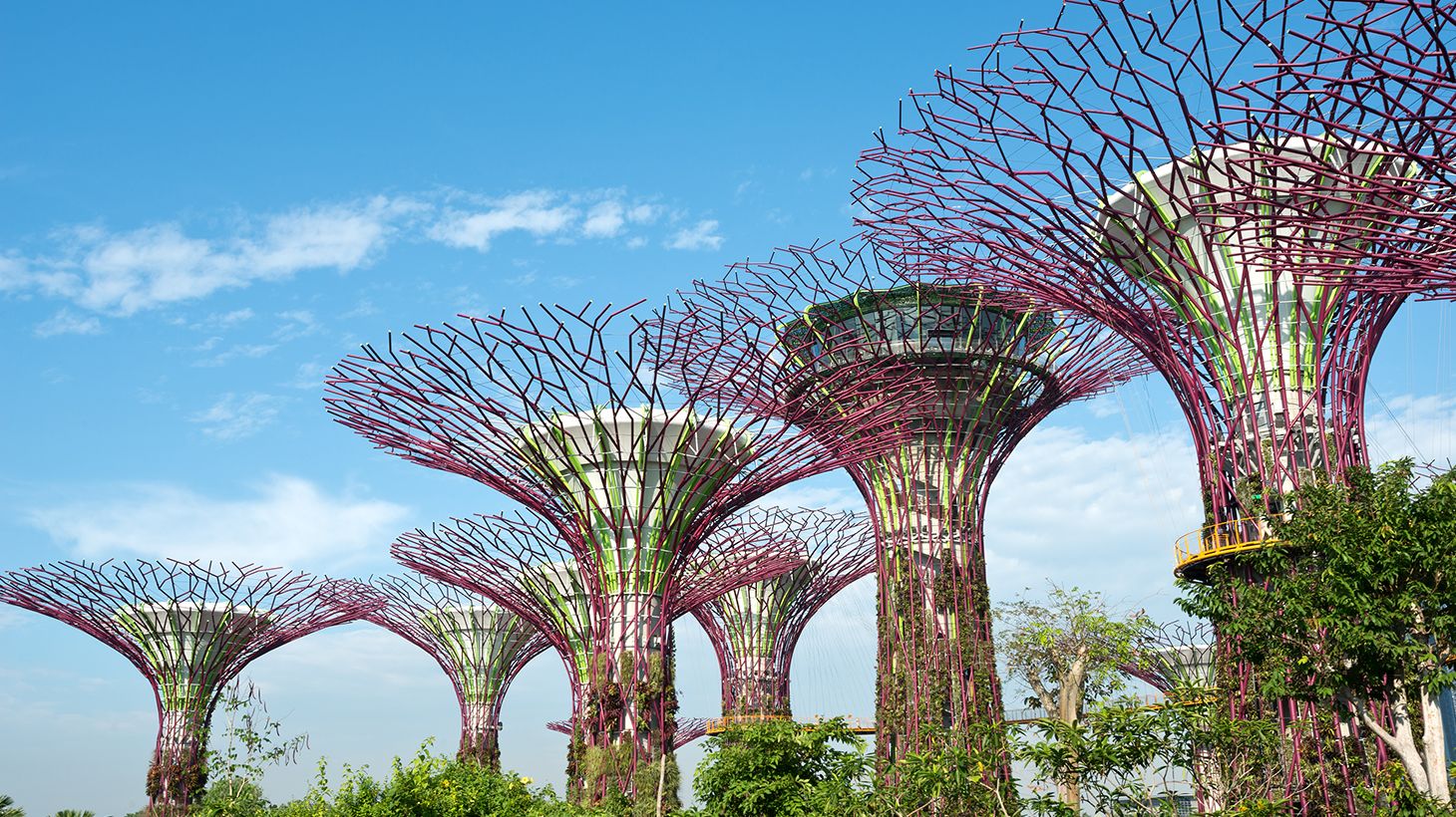 Private Half-Day City Tour with SkyPark Observation Deck, Gardens by the Bay & Return Transfers 1