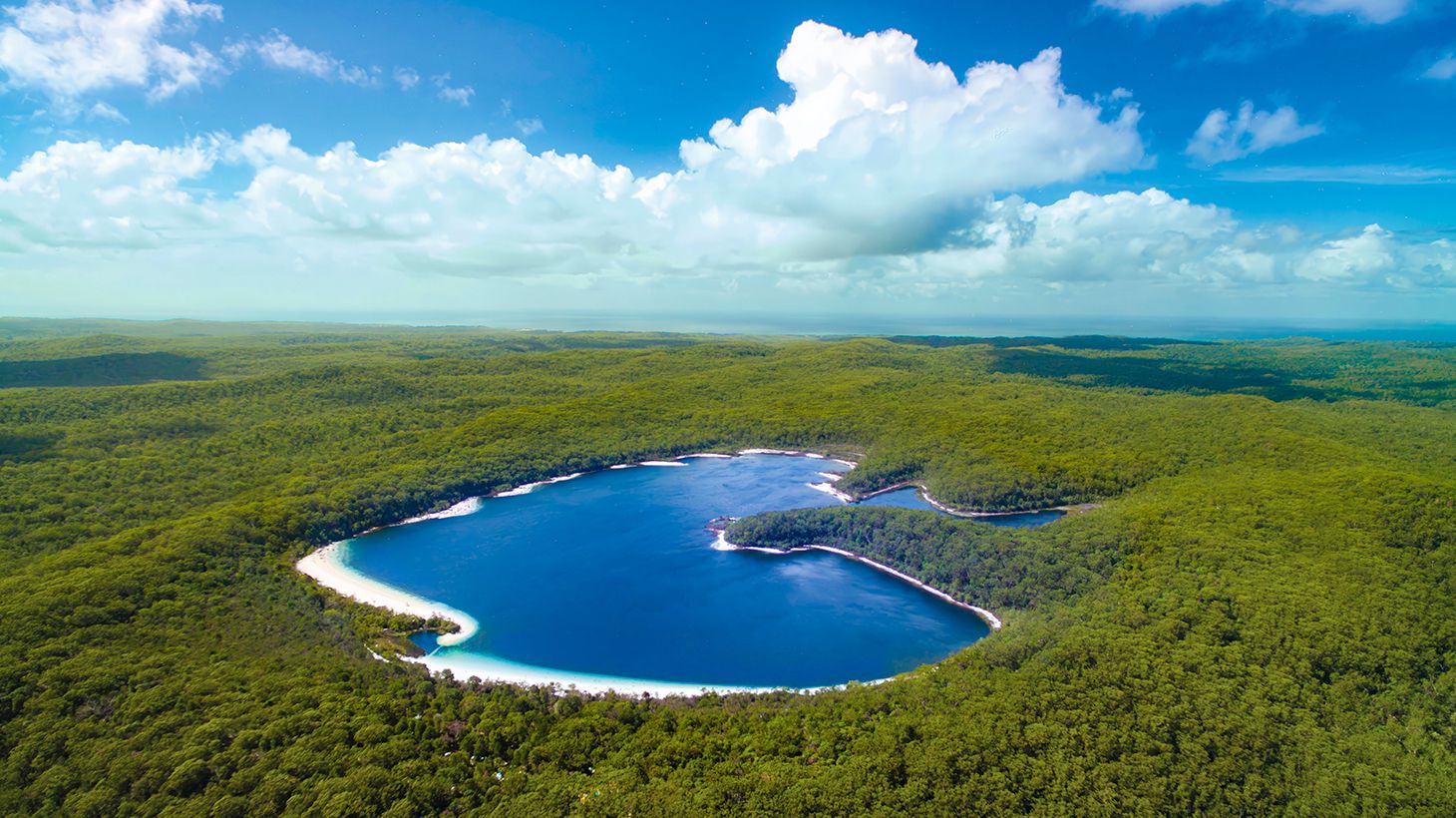 Full-Day 4WD Coach Tour of K'gari (Fraser Island) - Departing from Rainbow Beach - with Lake McKenzie, 75 Mile Beach, Eli Creek, Lunch & Ferry Transfers 2