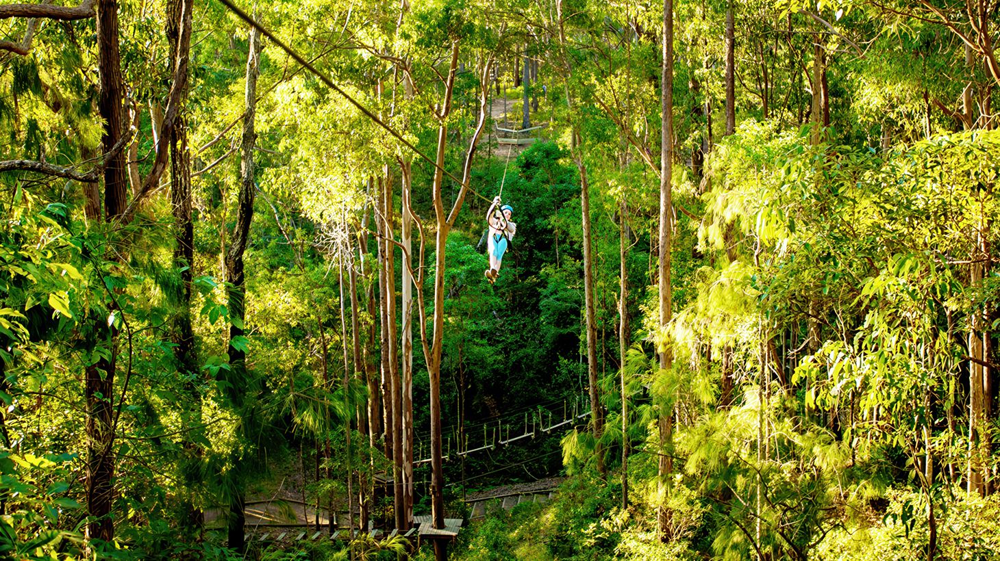 Take on Zipline & High Ropes Courses at The TreeTop Challenge at Thunderbird Park 8