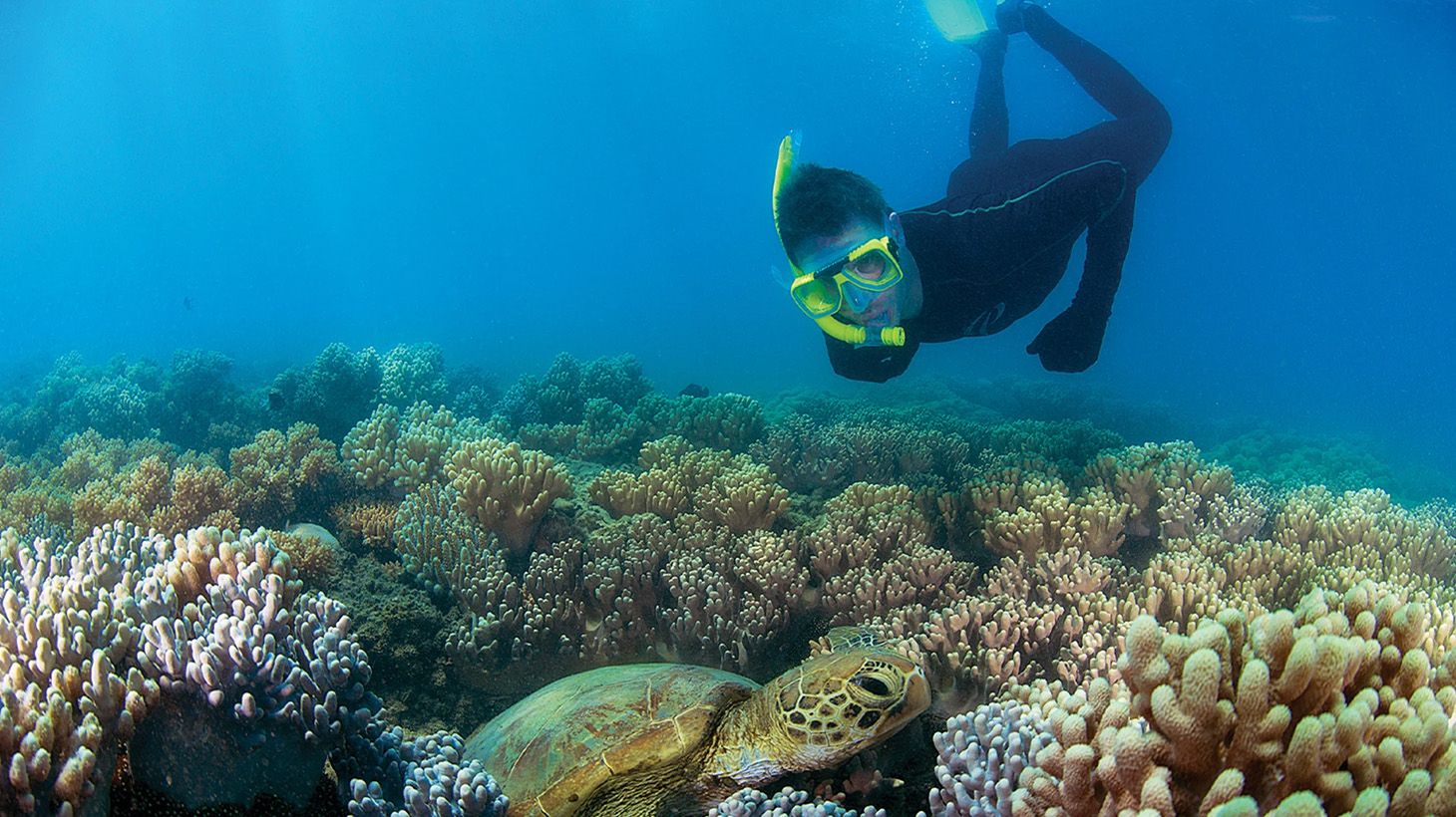 Great Barrier Reef Low Isle Cruise with Snorkelling Equipment, Tropical Lunch & Glass of Sparkling 6