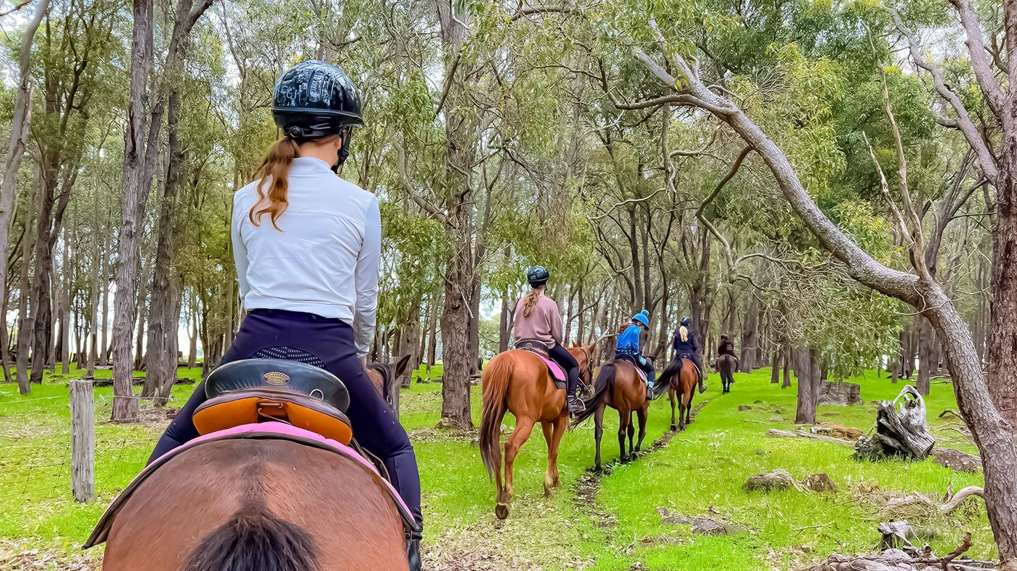 1.5-Hour Adventure Horse Ride with Grazing Platter & Glass of Wine in Jarrahdale 1