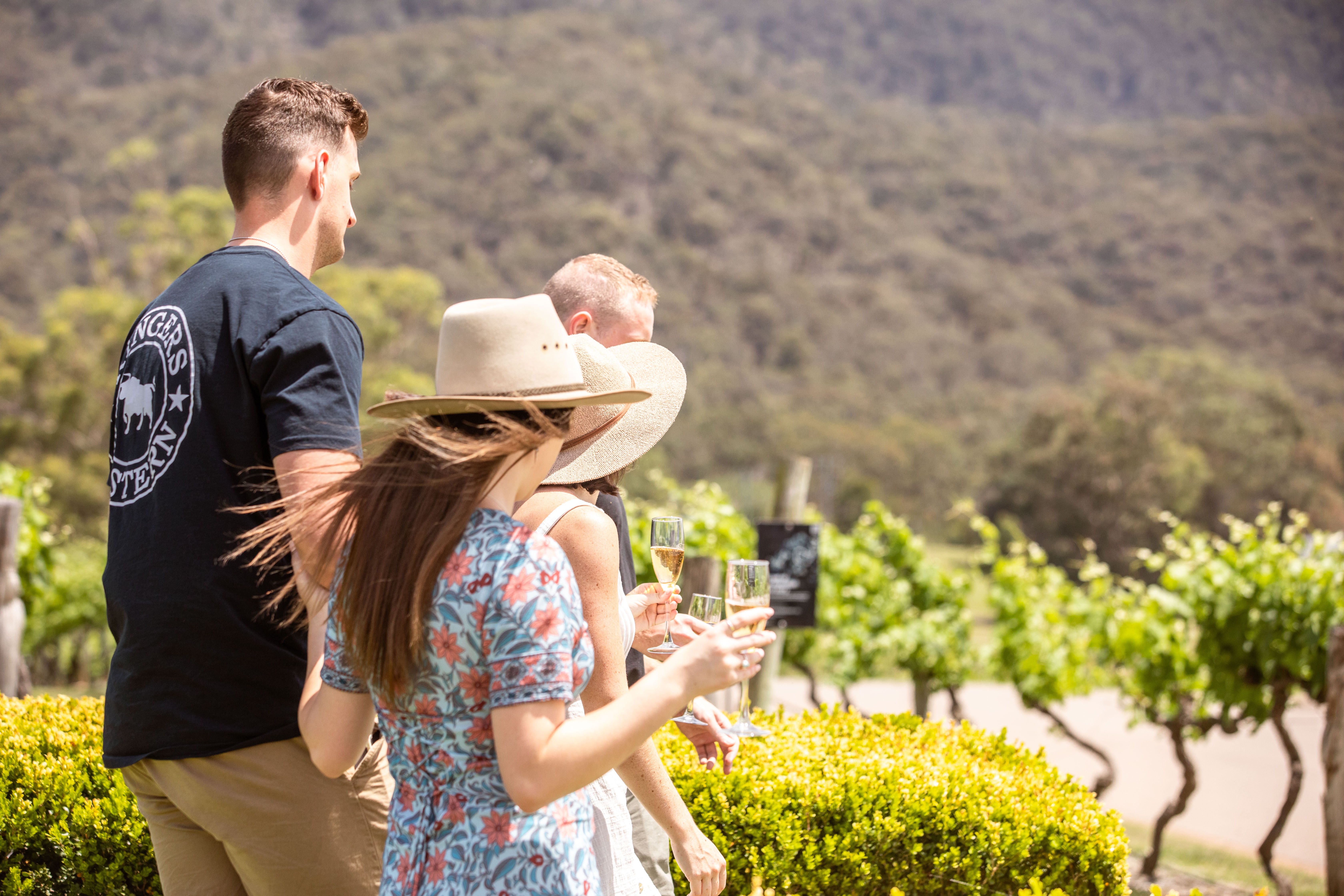 Picnic Among The Vines in Pokolbin with Wine Masterclass & Premium Tasting 8