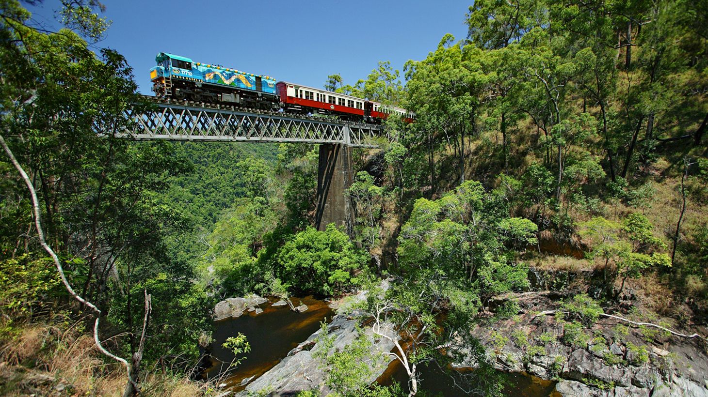 Journey through Heritage-Protected Rainforest with a One-Way Skyrail Ride & Scenic Rail Boarding Pass 2