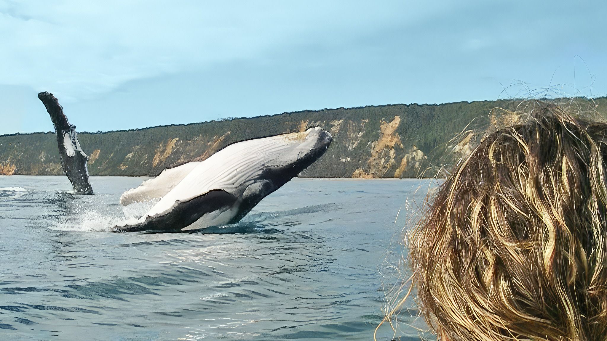 Noosa: Epic Whale Watching On Ocean Kayaks & Beach 4X4 Tour