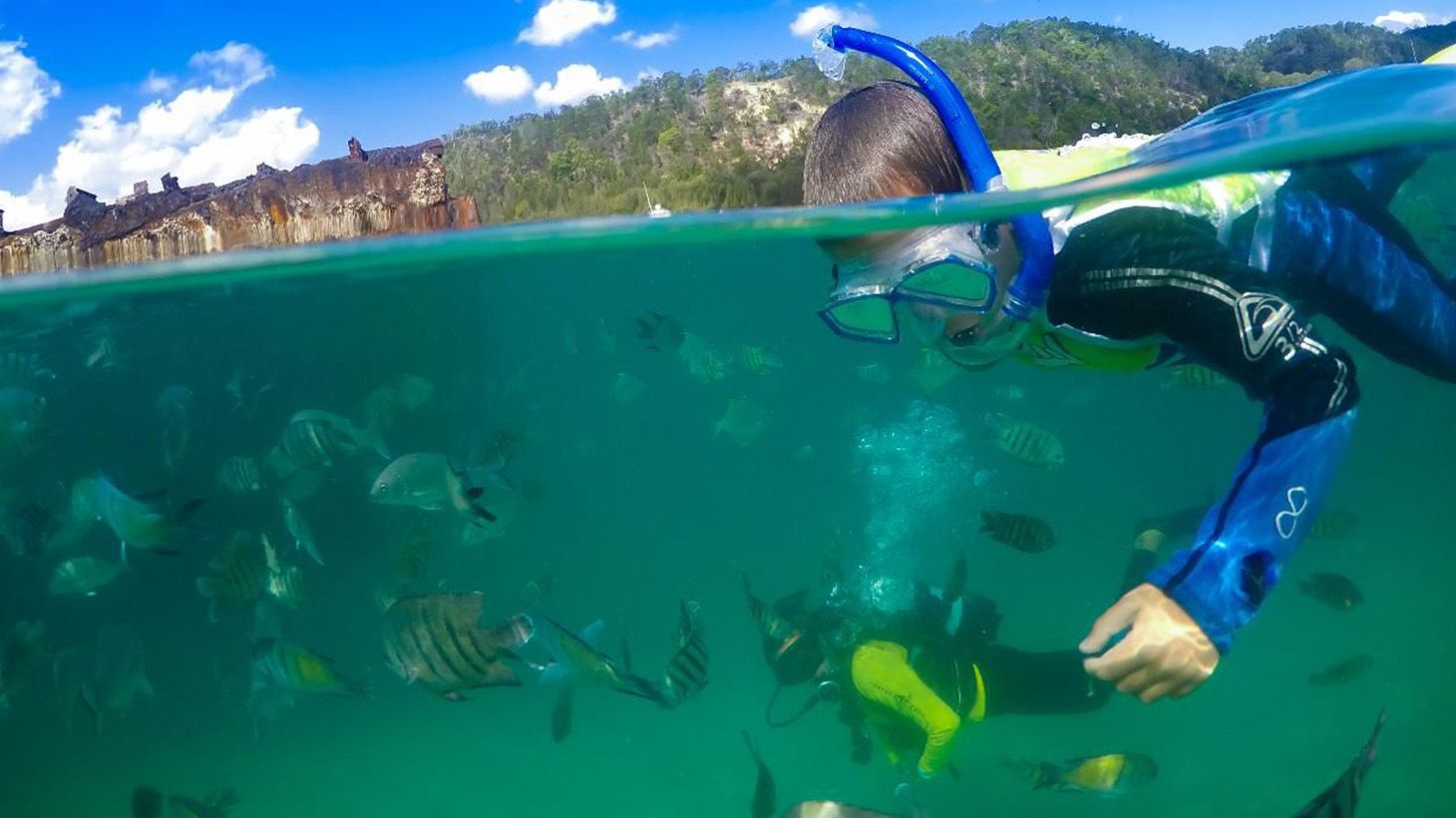 Official Tangalooma™ Day Cruise (Extended): with Wild Dolphin Feeding, Wrecks Snorkelling Tour, Lunch & Resort Access