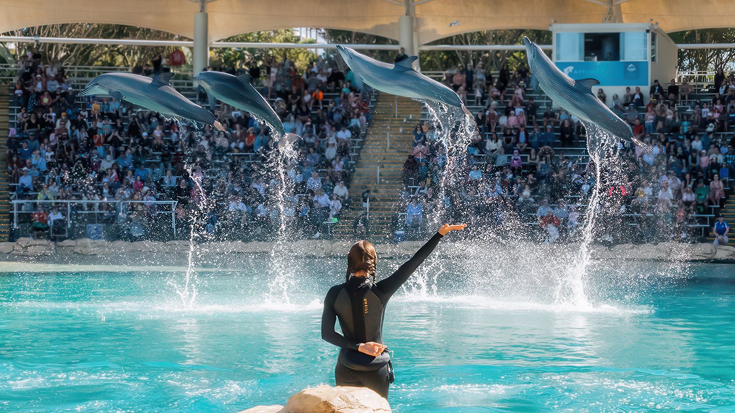 Seven-Day Multi Park Pass 7