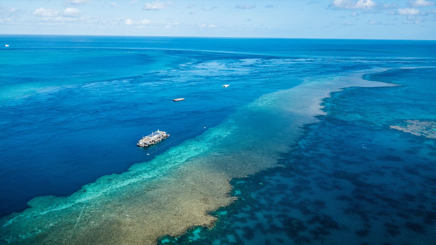 Explorez la Grande Barrière de corail lors d’une excursion d’une journée avec déjeuner buffet et transferts depuis et vers Hamilton Island