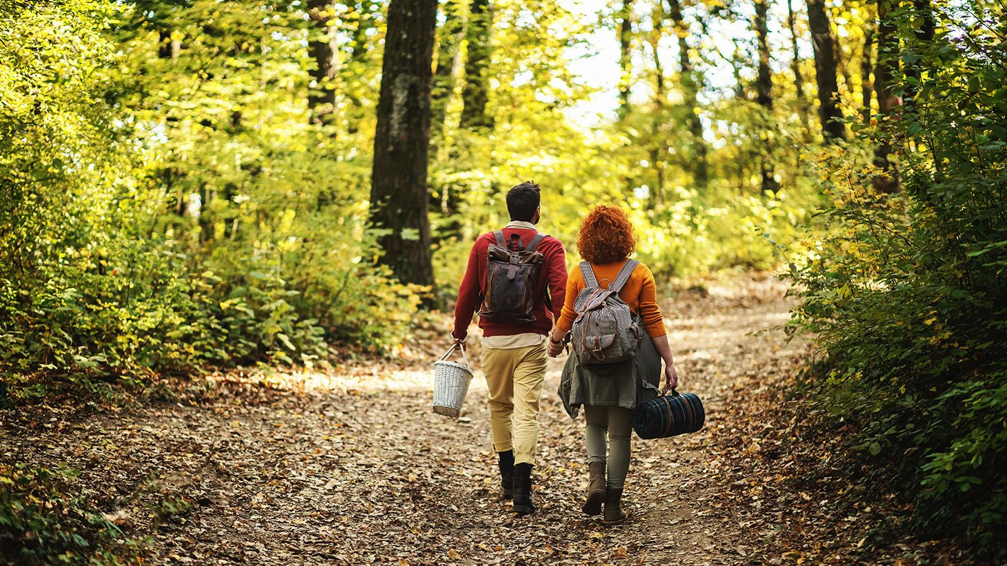 Self-Guided Mystery Picnic Experience for Two in the Dandenong Ranges